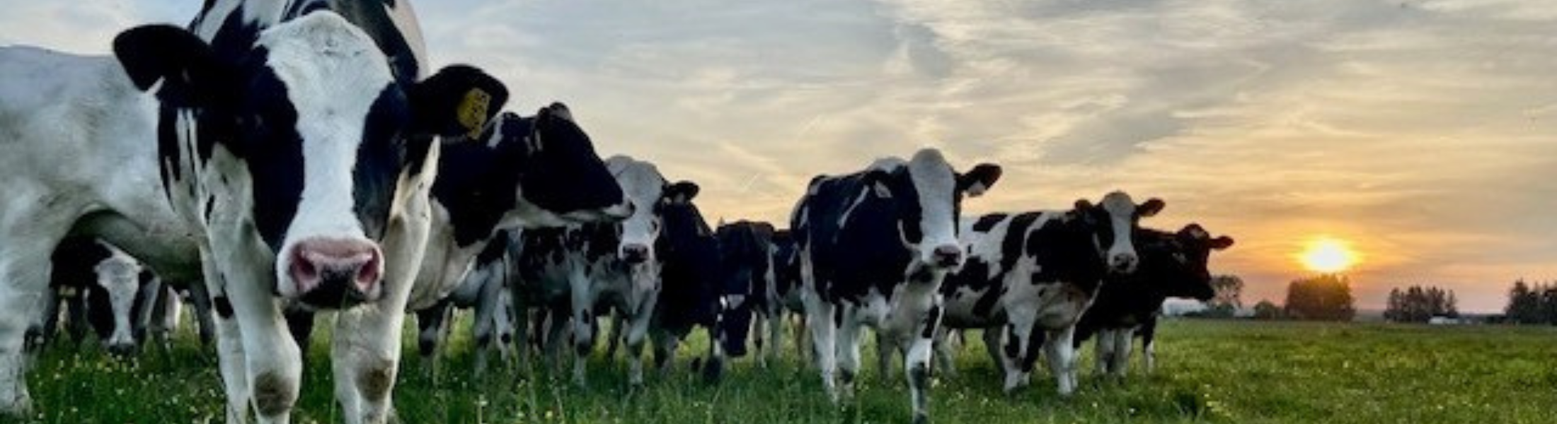 Photo Credit to Christa George