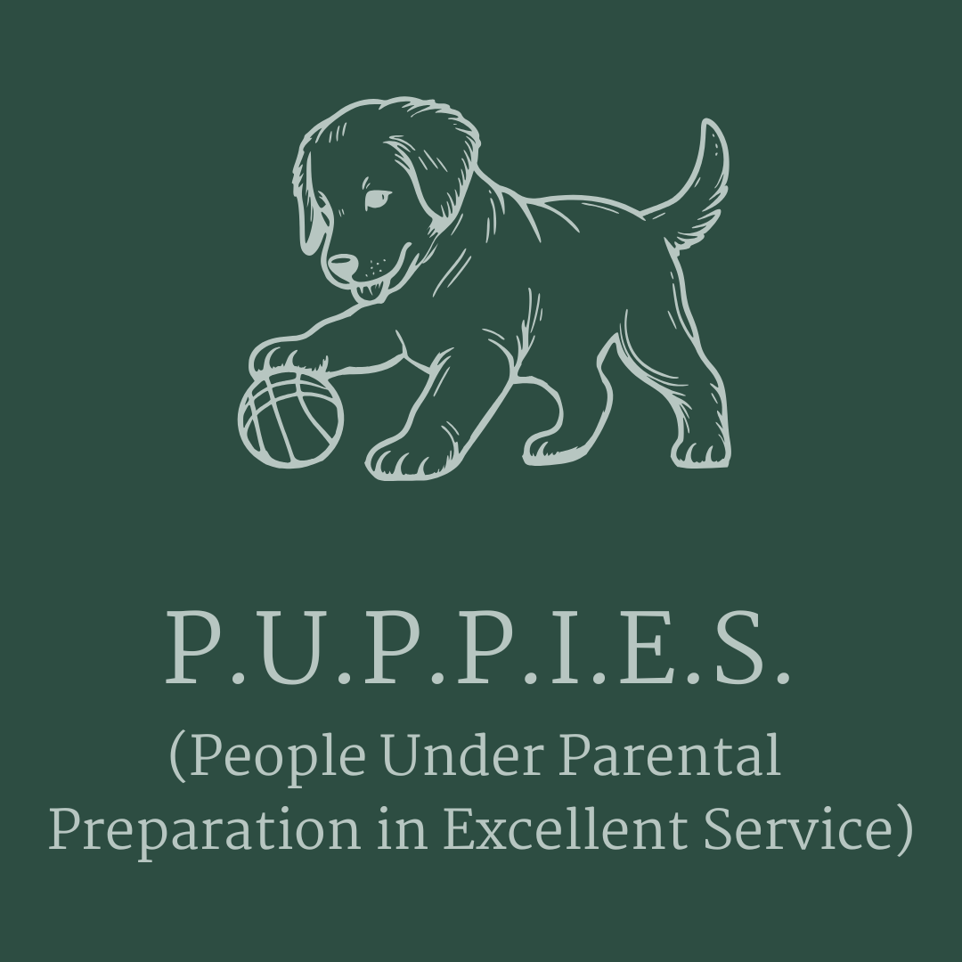 Youth Activity Programs